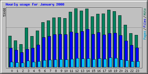 Hourly usage for January 2008