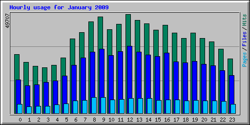 Hourly usage for January 2009