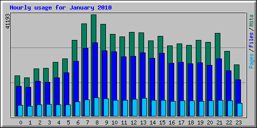 Hourly usage for January 2010