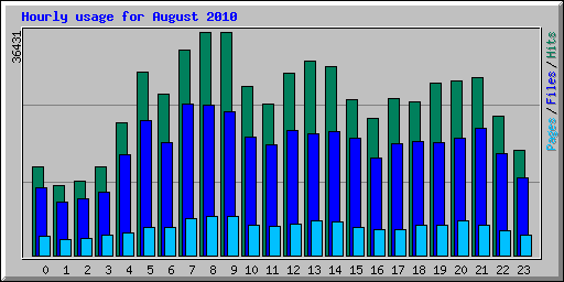 Hourly usage for August 2010