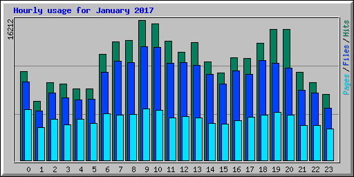 Hourly usage for January 2017