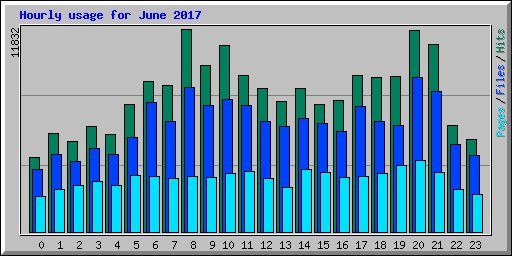 Hourly usage for June 2017